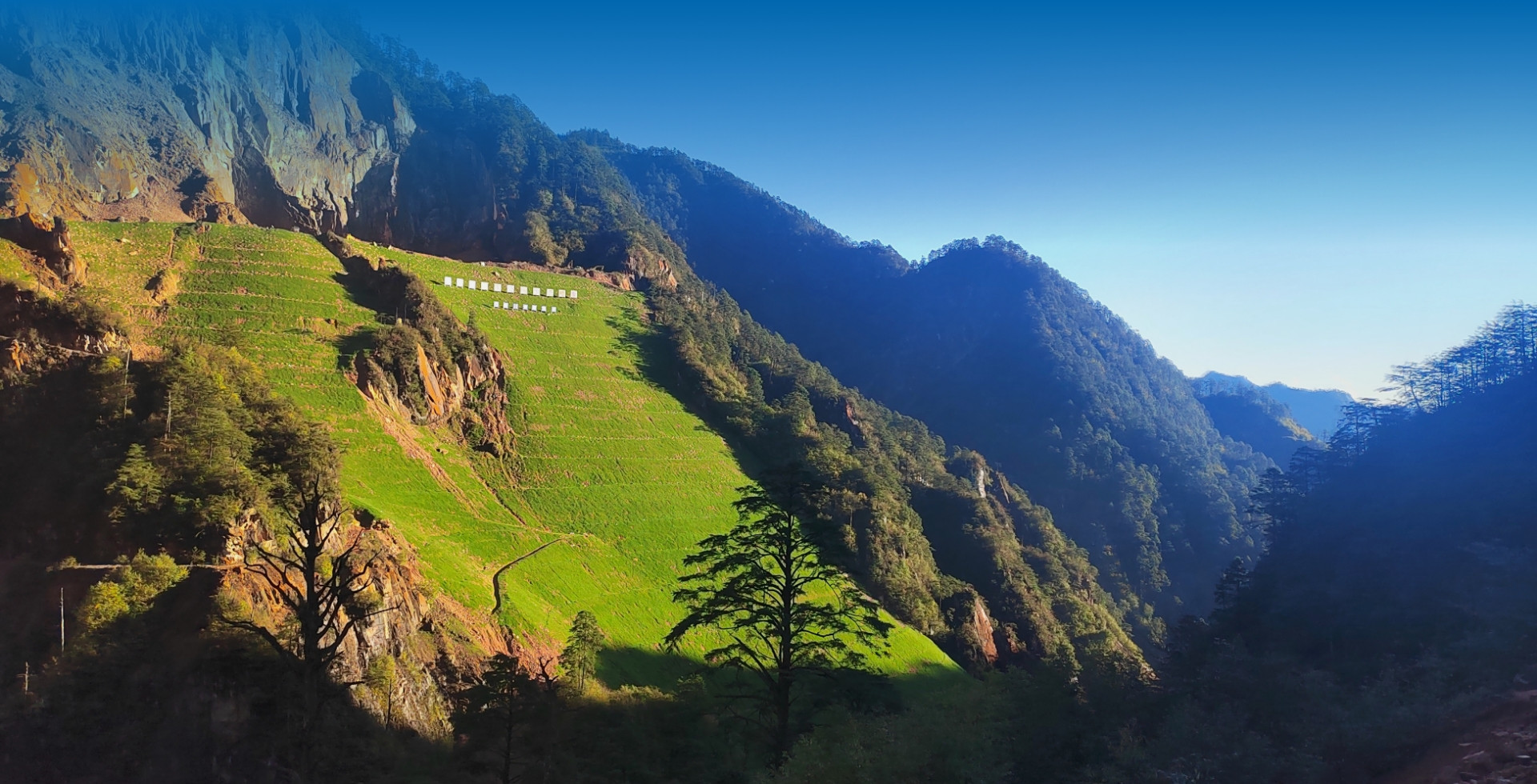 绘就“绿水青山就是金山银山”感人画卷