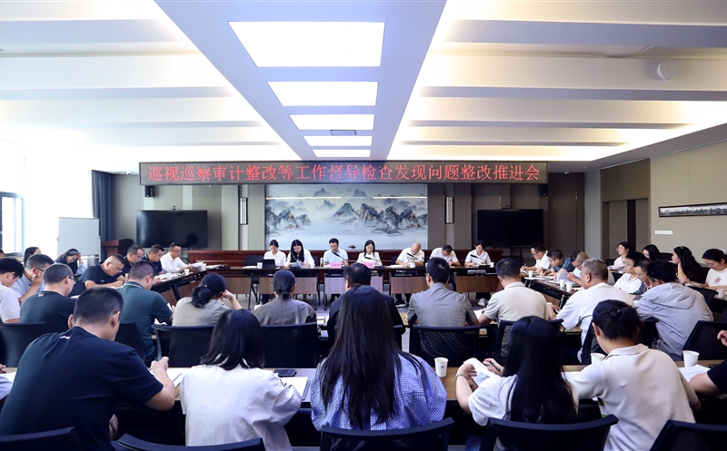 攀西公司召开巡视巡察审计整改等事情督导检查发明问题整改推进会