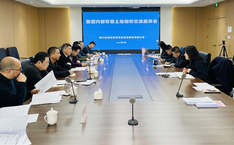 锚定战略协同，，激活存量价值——流转服务公司召开集团内部存量土地指标交流座谈会