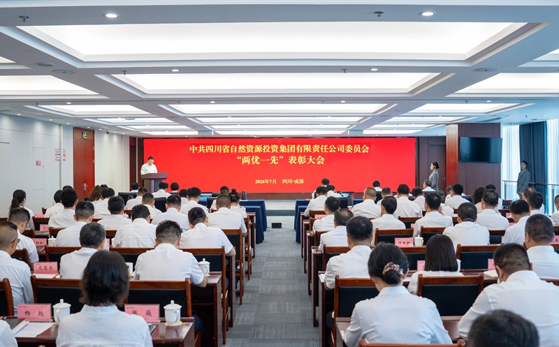 集团党委召开“两优一先”表扬大会