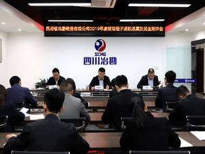 四川省冶勘物流有限公司 组织召开2019年度向导班子述职 述廉及民主测评会_协同多元工业_工业生长_J9集团有限责任公司