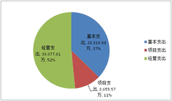 2019年度四川省冶金地质勘查局部分决算_财务预决算_信息果真_J9集团有限责任公司