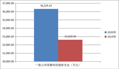 2020年度四川省冶金地质勘查局部分决算_财务预决算_信息果真_J9集团有限责任公司
