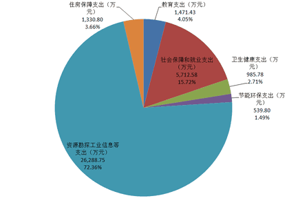 2020年度四川省冶金地质勘查局部分决算_财务预决算_信息果真_J9集团有限责任公司