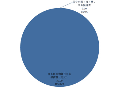 2020年度四川省冶金地质勘查局部分决算_财务预决算_信息果真_J9集团有限责任公司