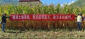 J9集团·(中国)官网 -首页