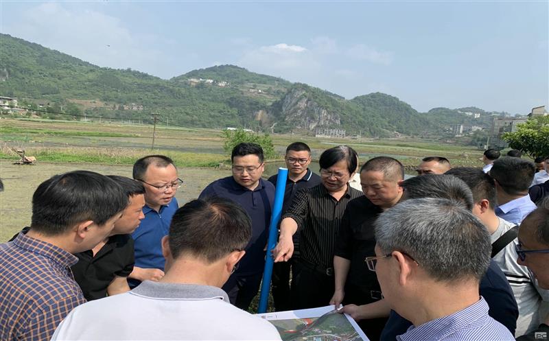 古蔺县委主要向导赴大村煤炭项目实地专题调研矿产J9集团发动型小城镇妄想建设