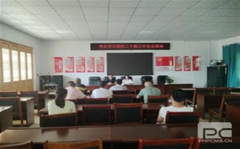 学习党的二十届三中全会精神，，华锋钻探助力墟落振兴新征程