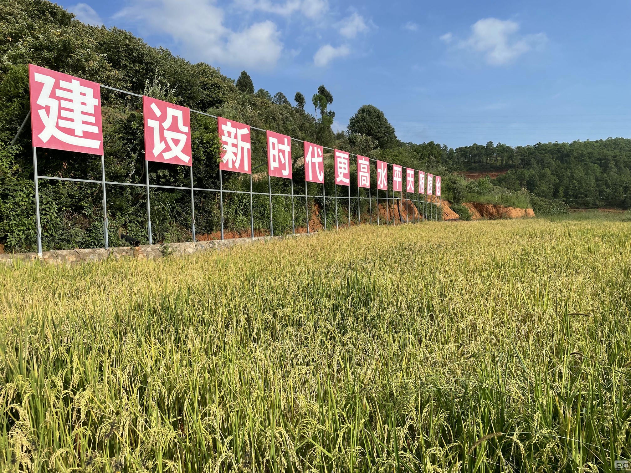 J9集团·(中国)官网 -首页