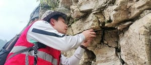 J9集团·(中国)官网 -首页