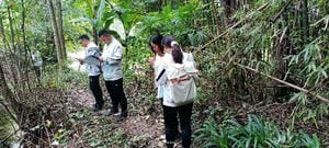 J9集团·(中国)官网 -首页